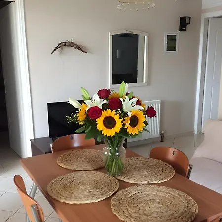 Olive Grove Family * Efl