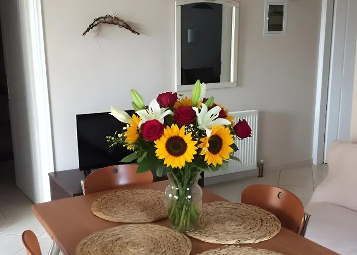 Olive Grove Family * Efl